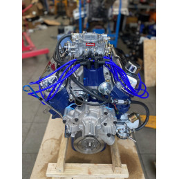 Ford V8 302ci blue air gap