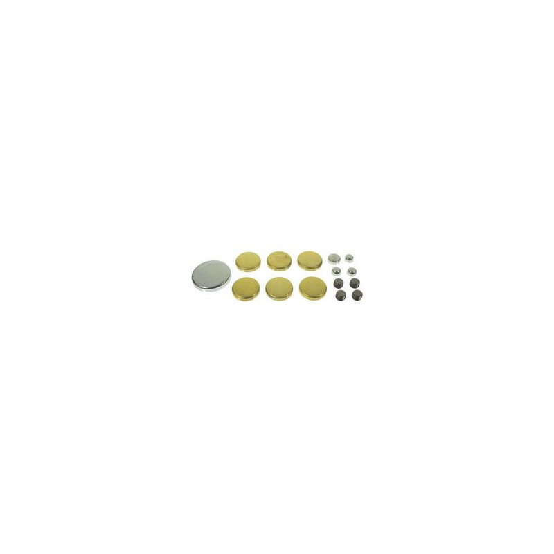 Kit pastille de sablage Ford 289/302/351W MEL-MPE-108BR