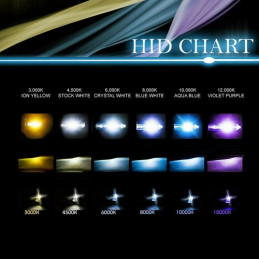 Kit de phares 7" HID XENON - Type STOCK - White 6000 K