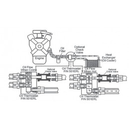 Thermostat pour circuit d'huile - EARL'S
