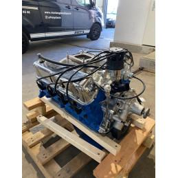 V8 Ford 302ci blue